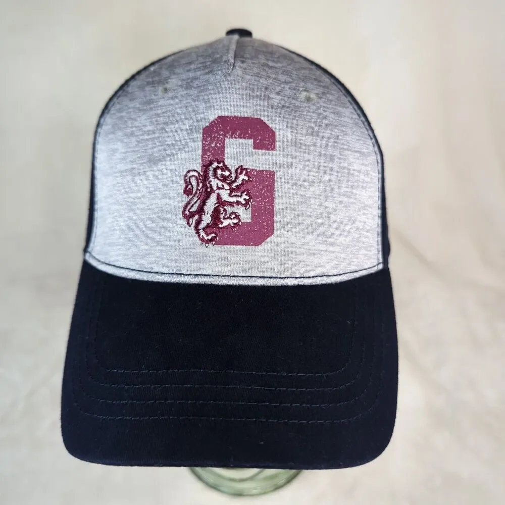 Harry Potter Gryffindor Hat Youth Strap Back Adjustable Gray/Navy Cap 2018